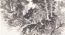经济招标规划师招生简章(独家)